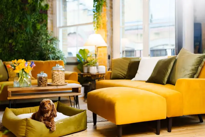 The Shoreditch Cabin in Shoreditch